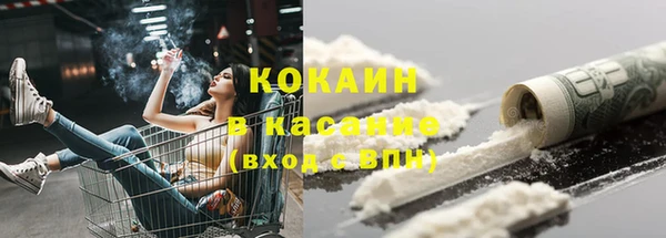 прущие грибы Киреевск