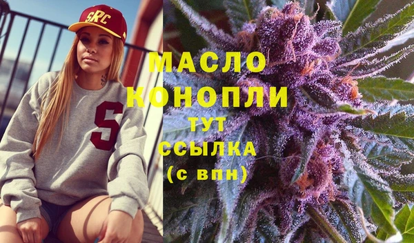 крисы Жердевка