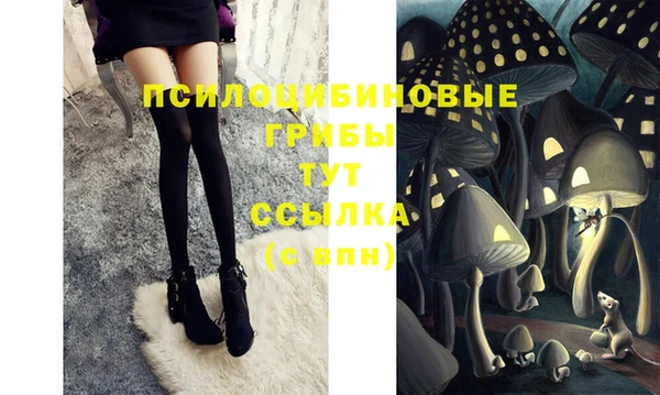соль ск Козловка